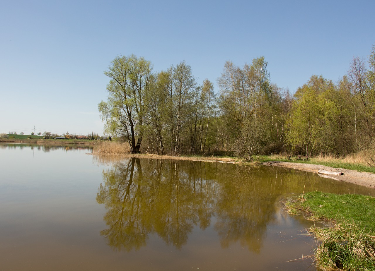 nature  waters  reflection free photo