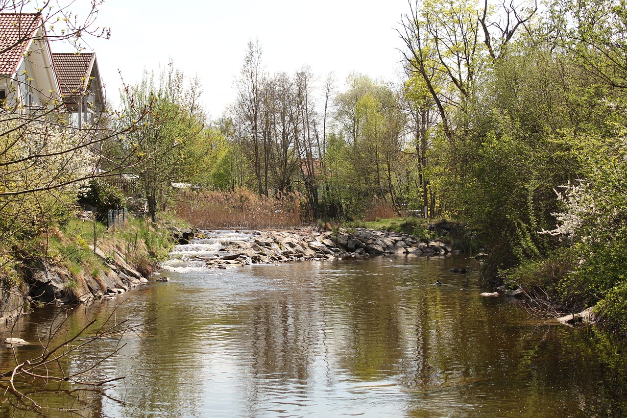 nature  waters  river free photo