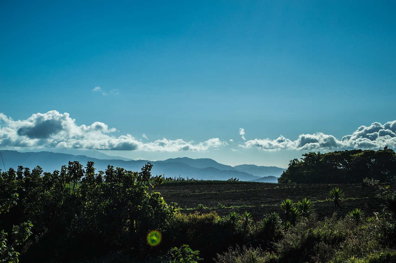 nature  panoramic  sky free photo