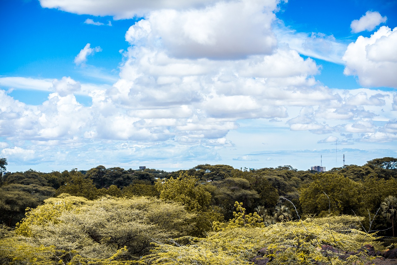 nature  sky  panoramic free photo