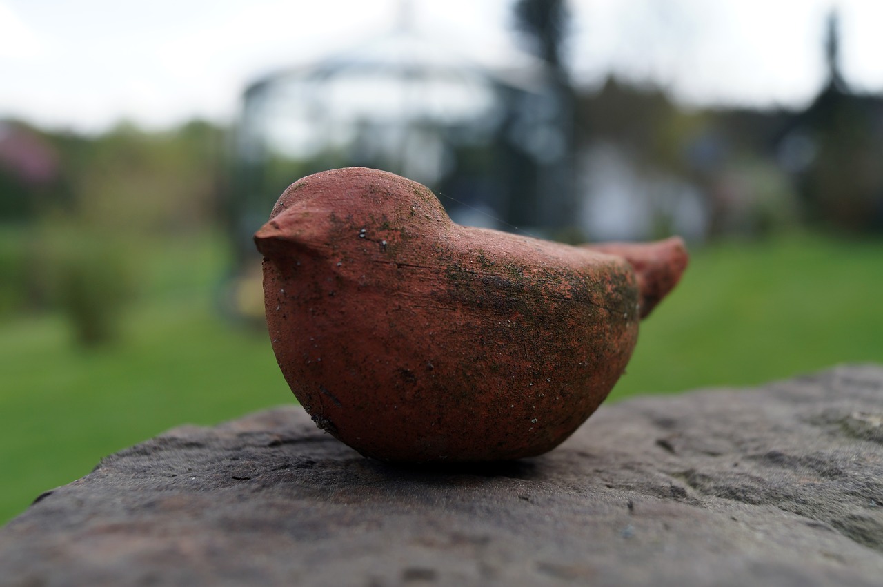 nature  bird  statue free photo