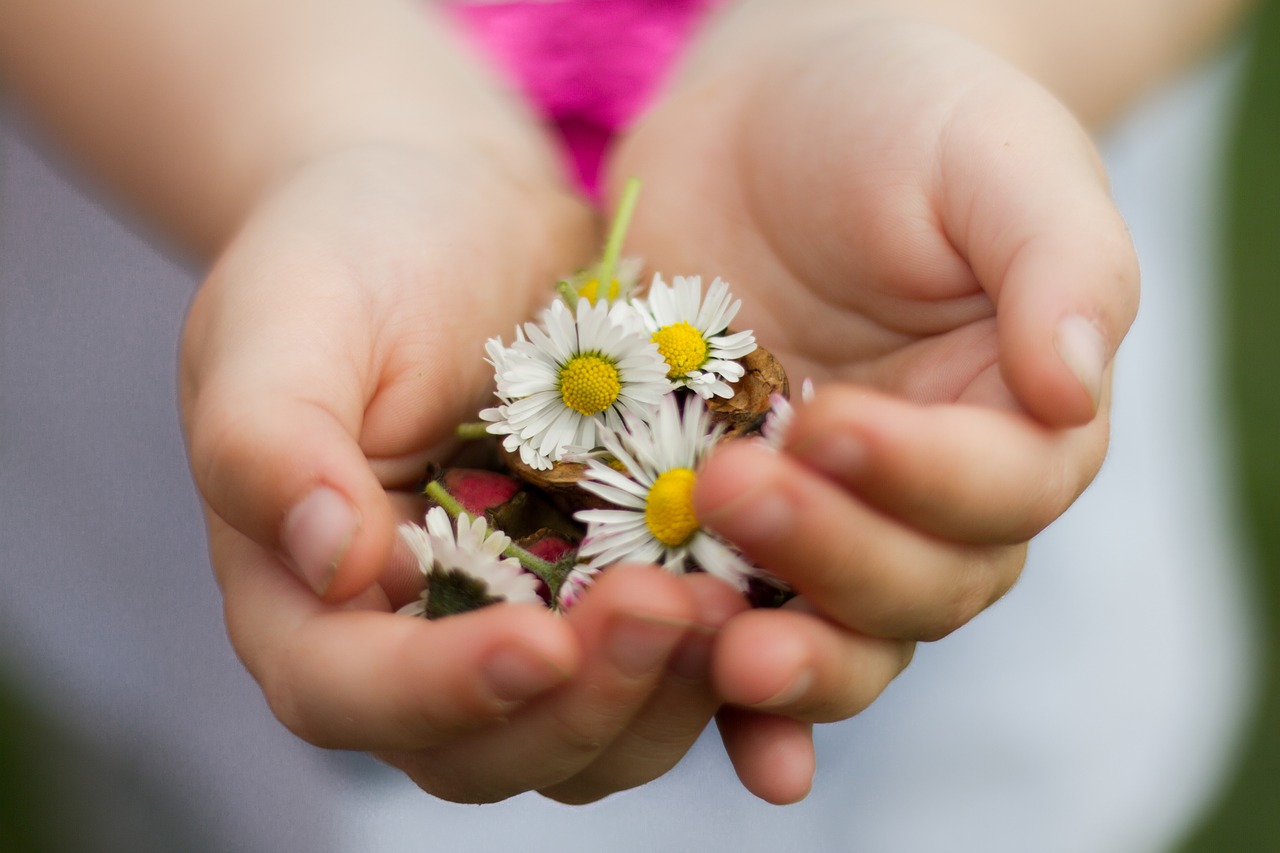 nature  hand  small free photo