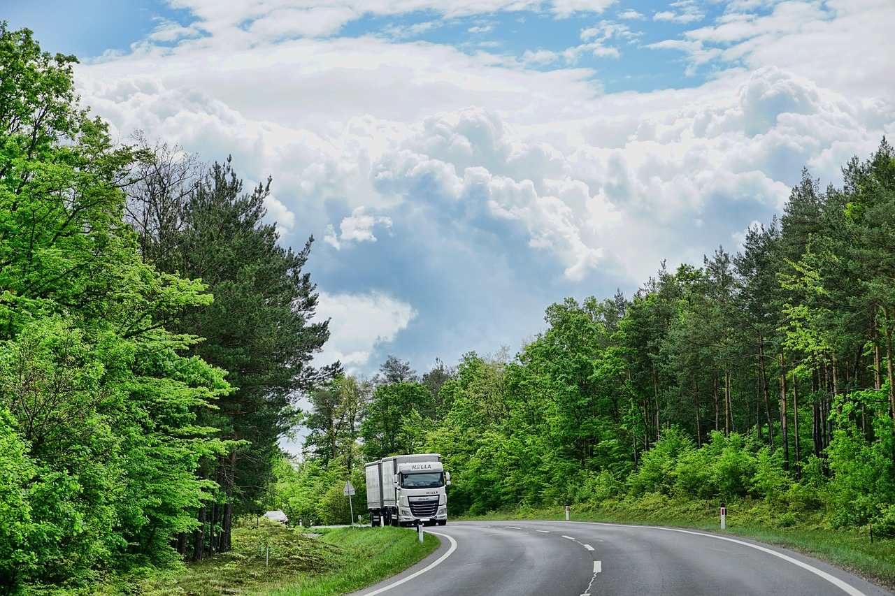 nature  road  tree free photo