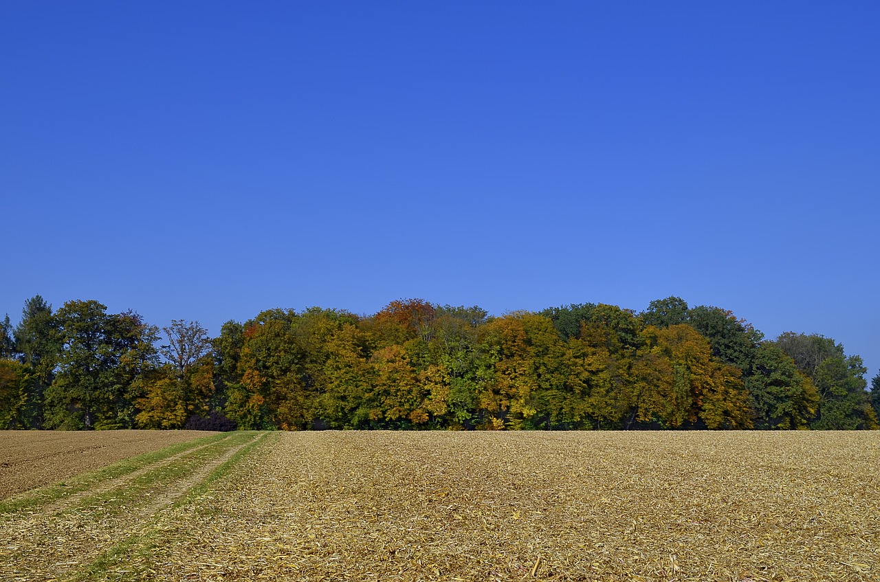 nature  panorama  landscape free photo