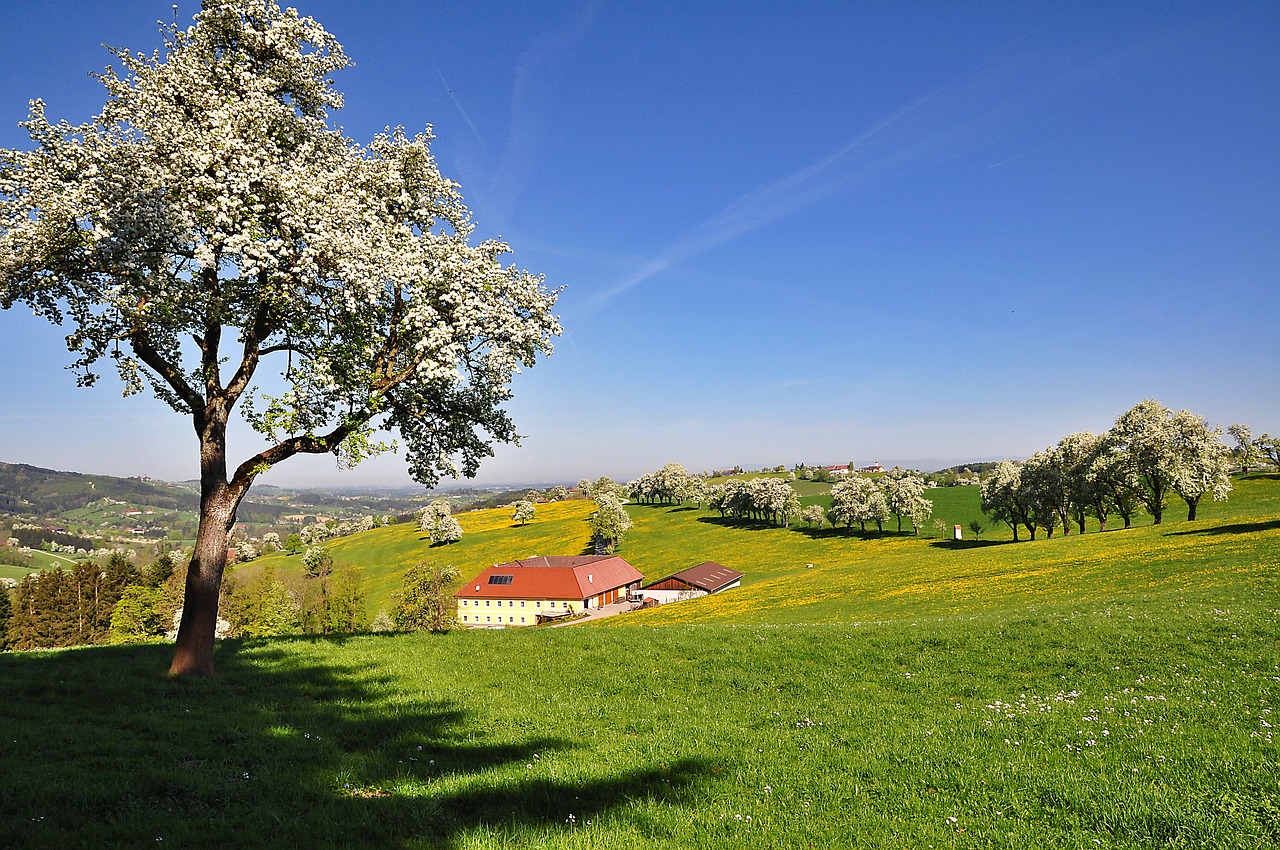 nature  landscape  blue sky free photo