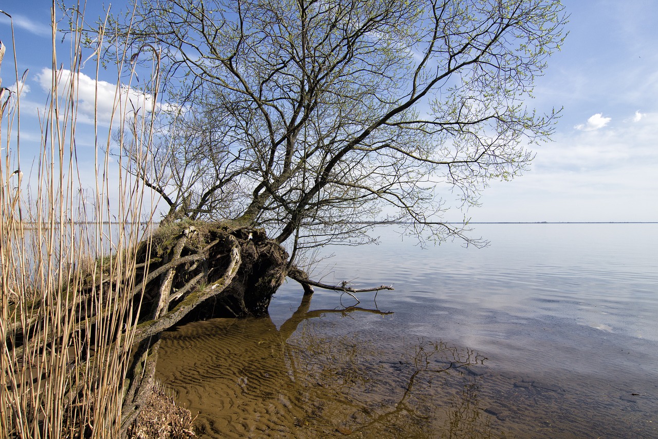 nature  landscape  sky free photo