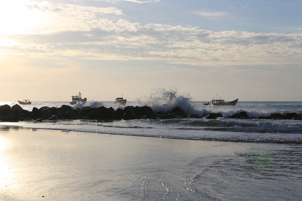 nature  beach  sea free photo