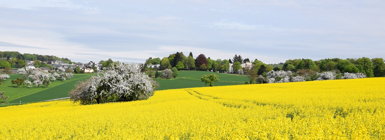 nature  panorama  agriculture free photo