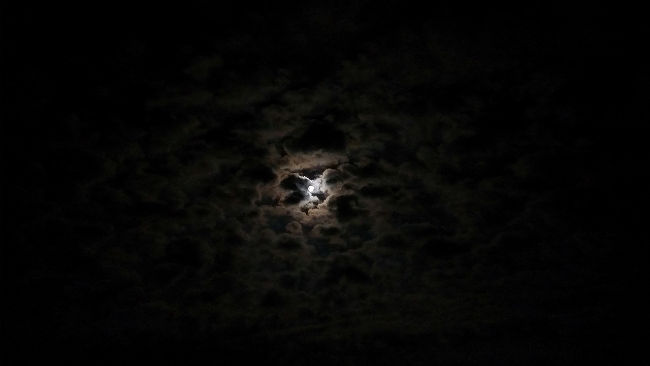 nature  darkness  night free photo