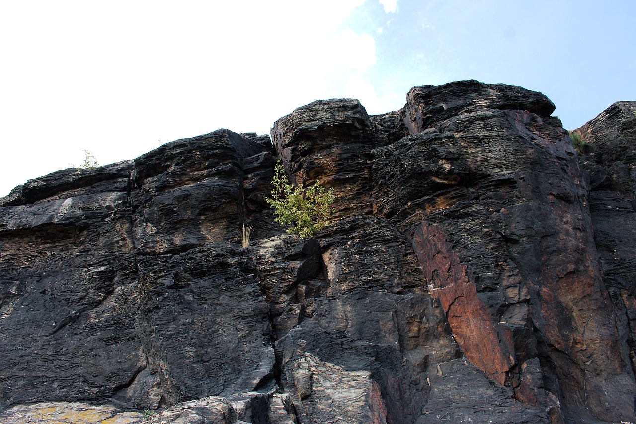 nature  rock  stone free photo