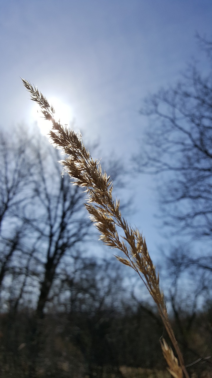 nature  sky  landscape free photo