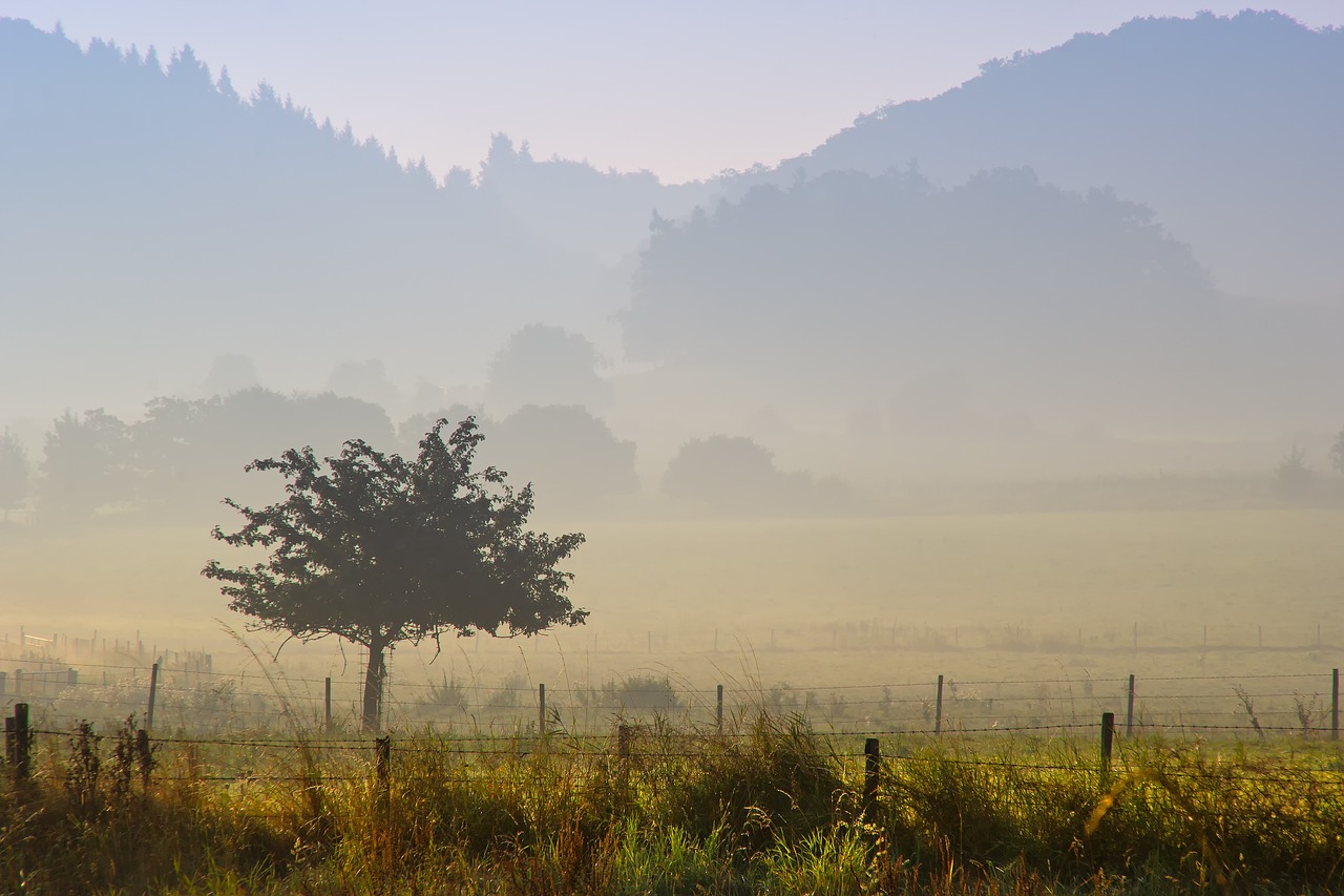 nature  panorama  landscape free photo