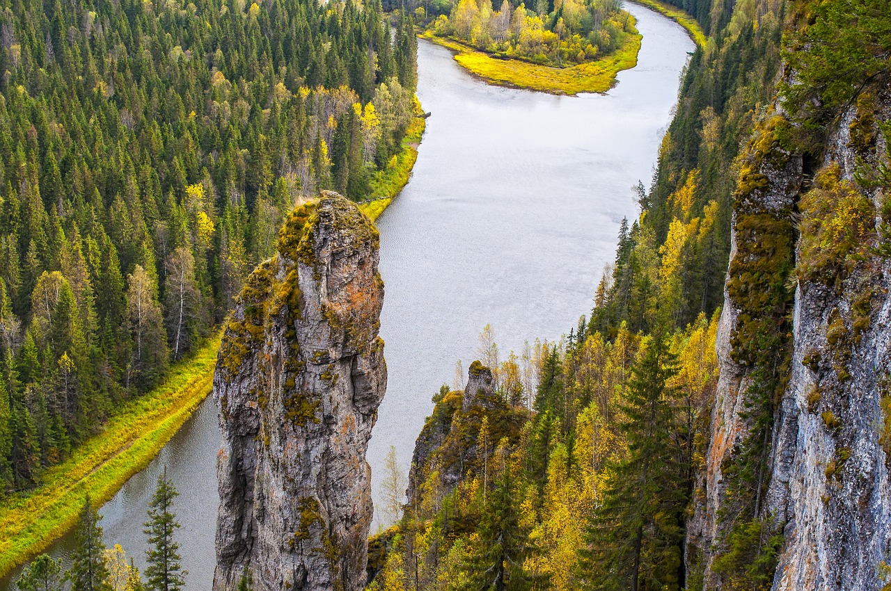 nature  water  wood free photo