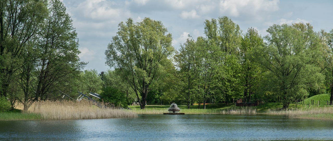 nature  waters  tree free photo