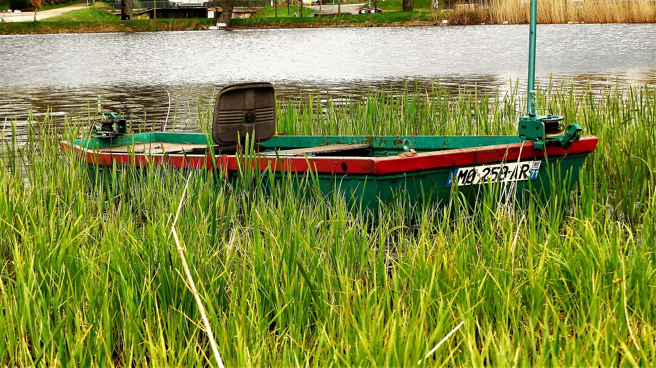 nature  pond  fishing free photo