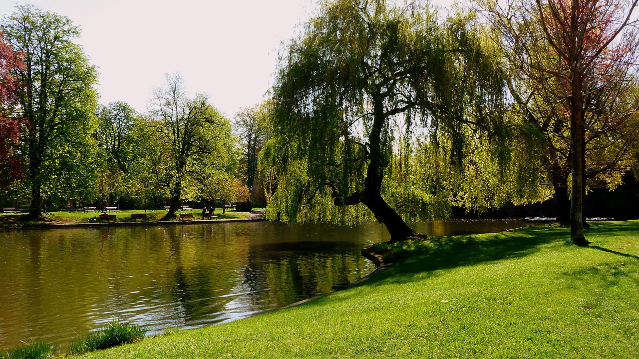 nature  france  strasbourg free photo