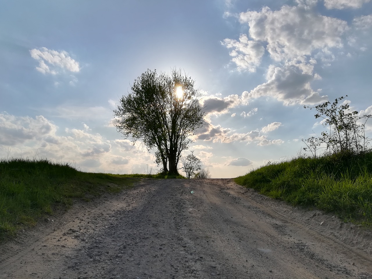 nature  landscape  panoramic free photo