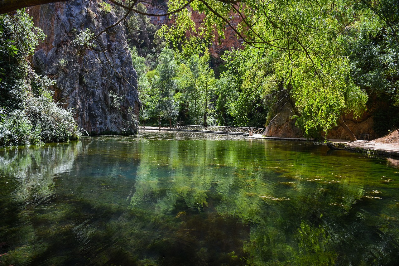 nature  body of water  tree free photo