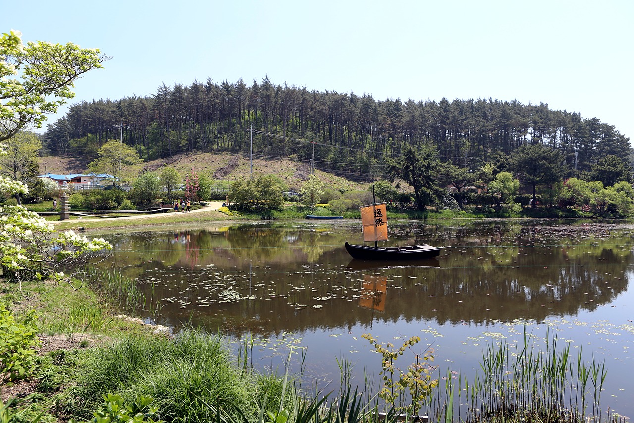 nature  river  scenery free photo