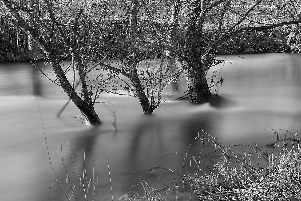 nature  waters  reflection free photo