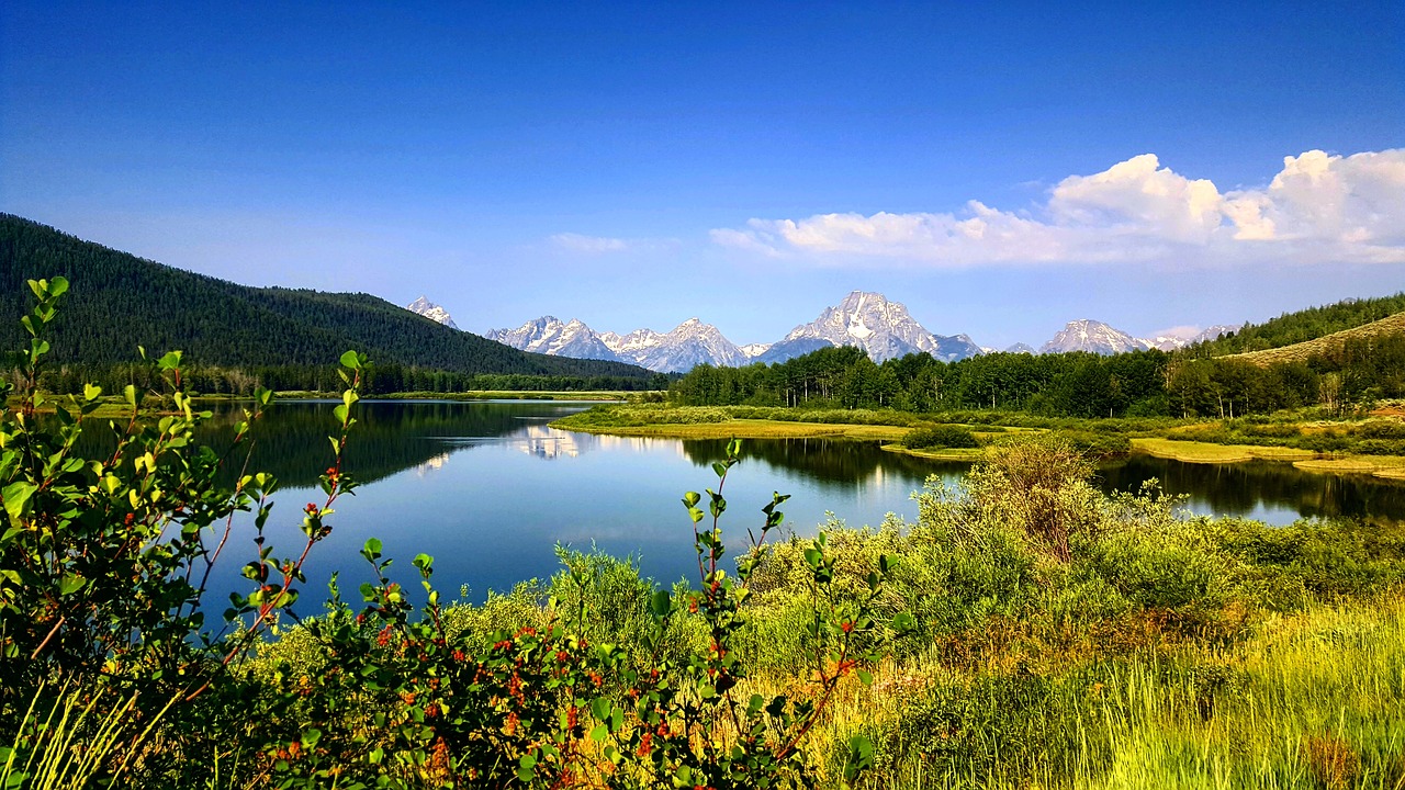 nature  water  lake free photo