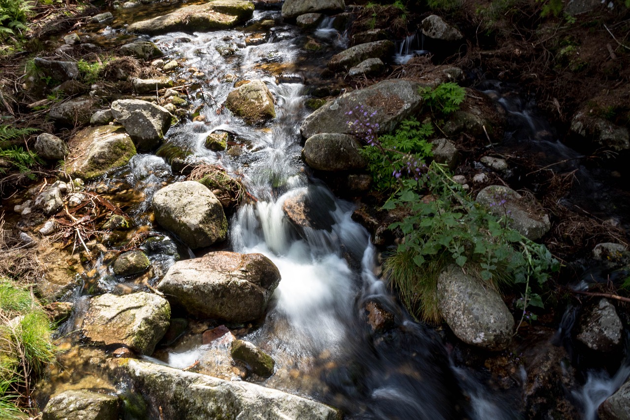 nature  river  waterfall free photo