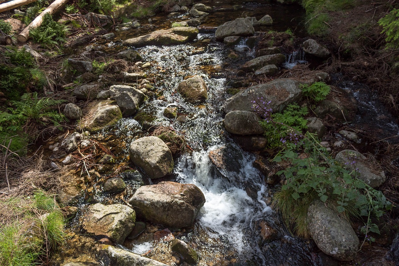 nature  river  waterfall free photo