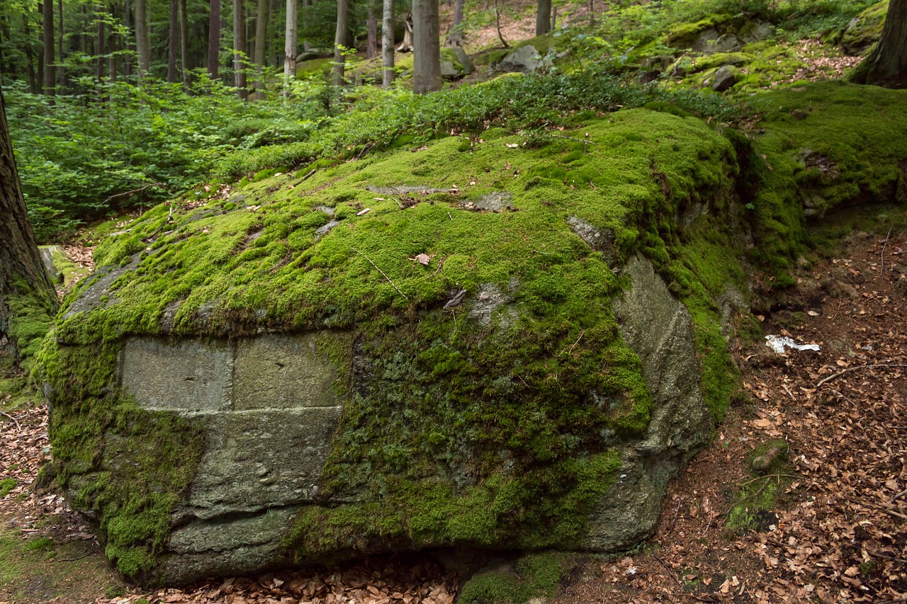 nature  landscape  stone free photo