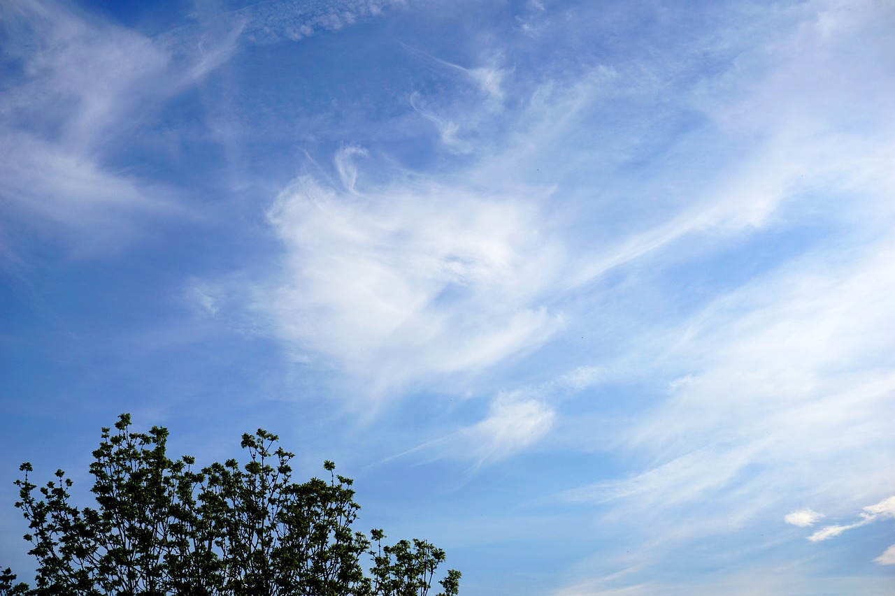 nature  summer  sky free photo