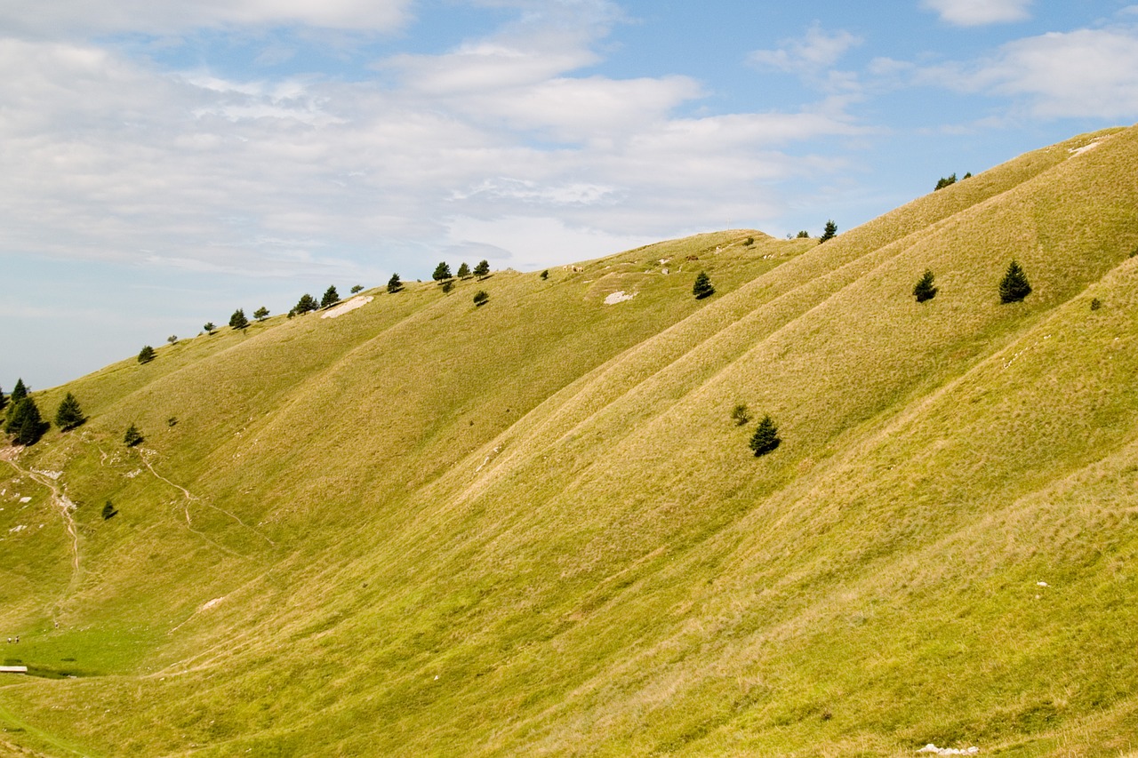 nature  landscape  summer free photo