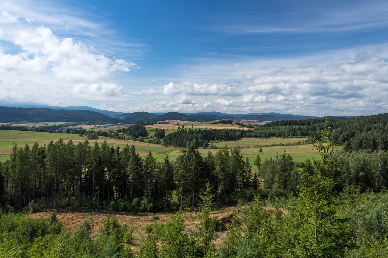 nature  sky  panoramic free photo