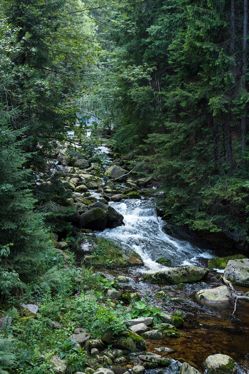 nature  river  waterfall free photo