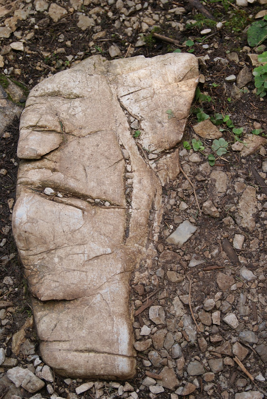 nature  old  stone free photo