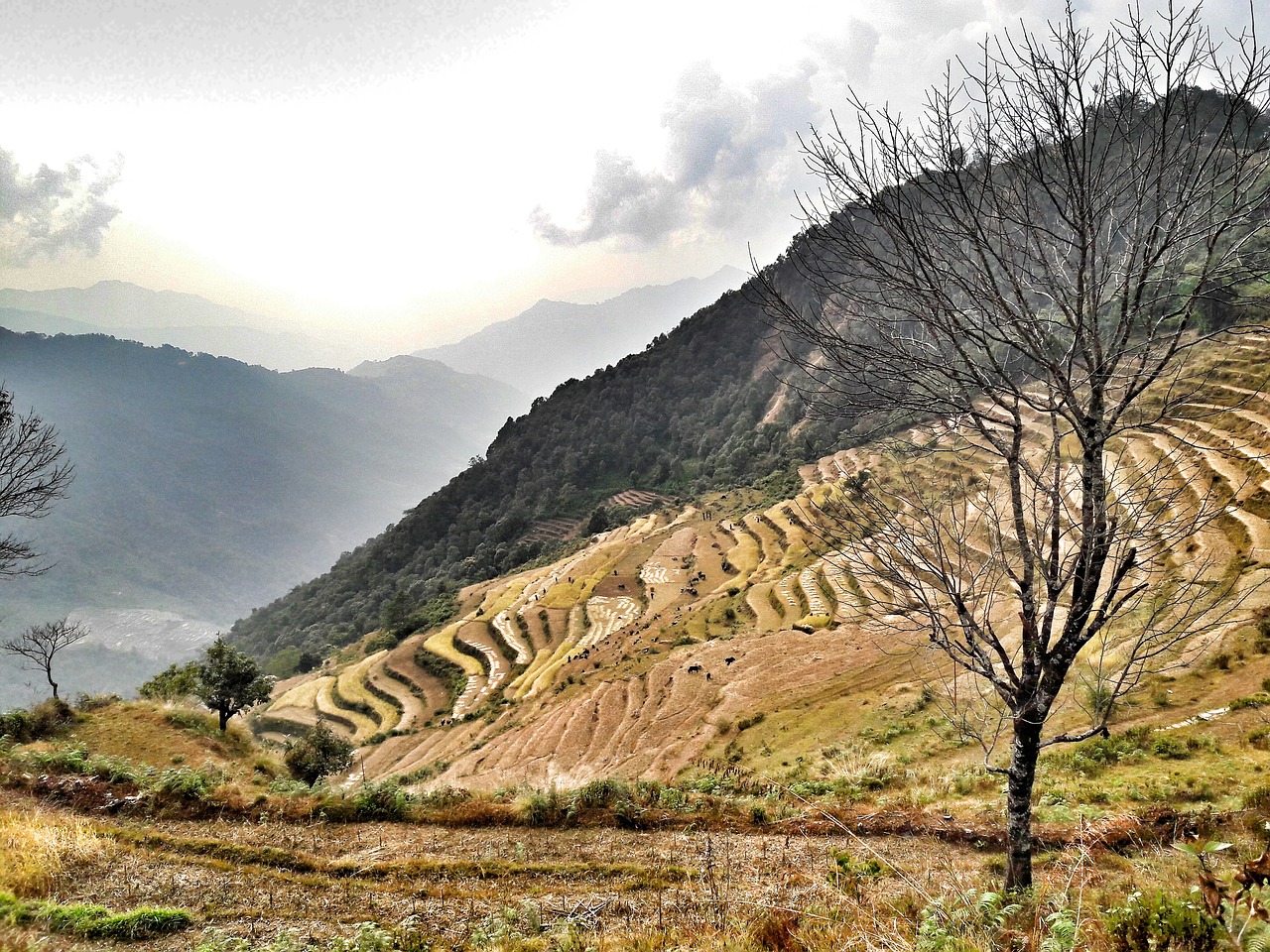 nature  landscape  sky free photo