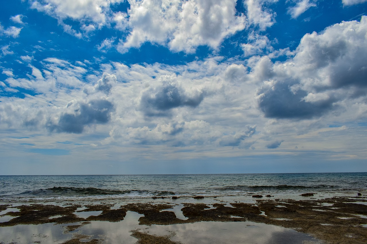 nature  beach  sky free photo