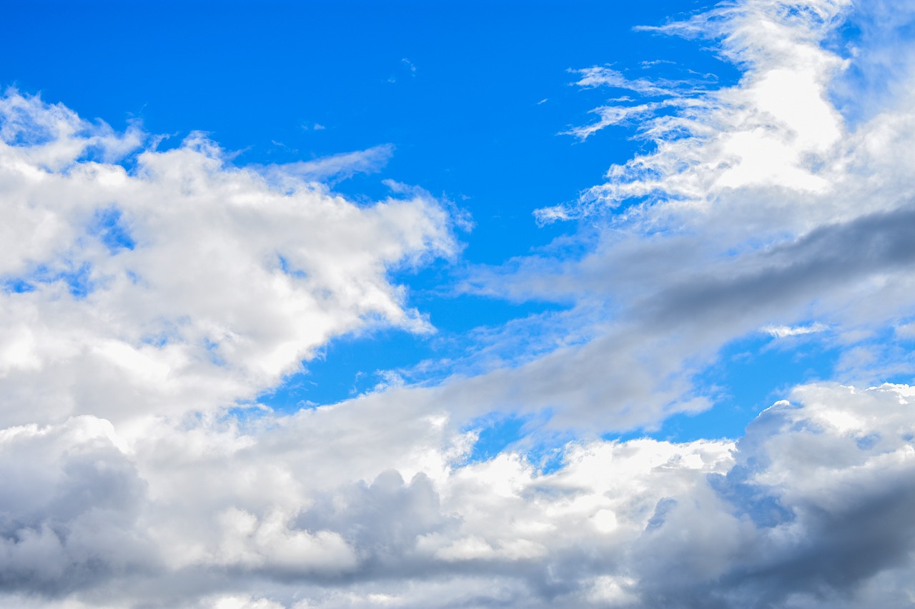 nature  summer  cloud cover free photo