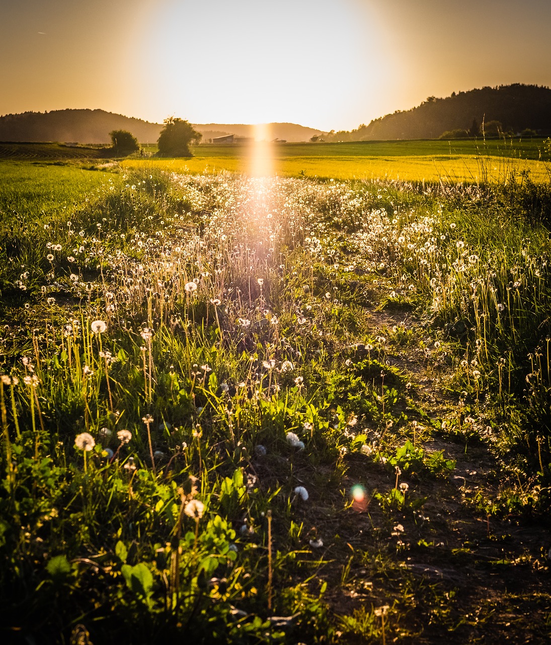 nature  landscape  sunset free photo