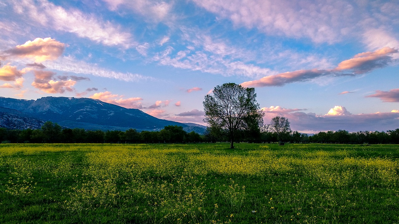 nature  panoramic  landscape free photo