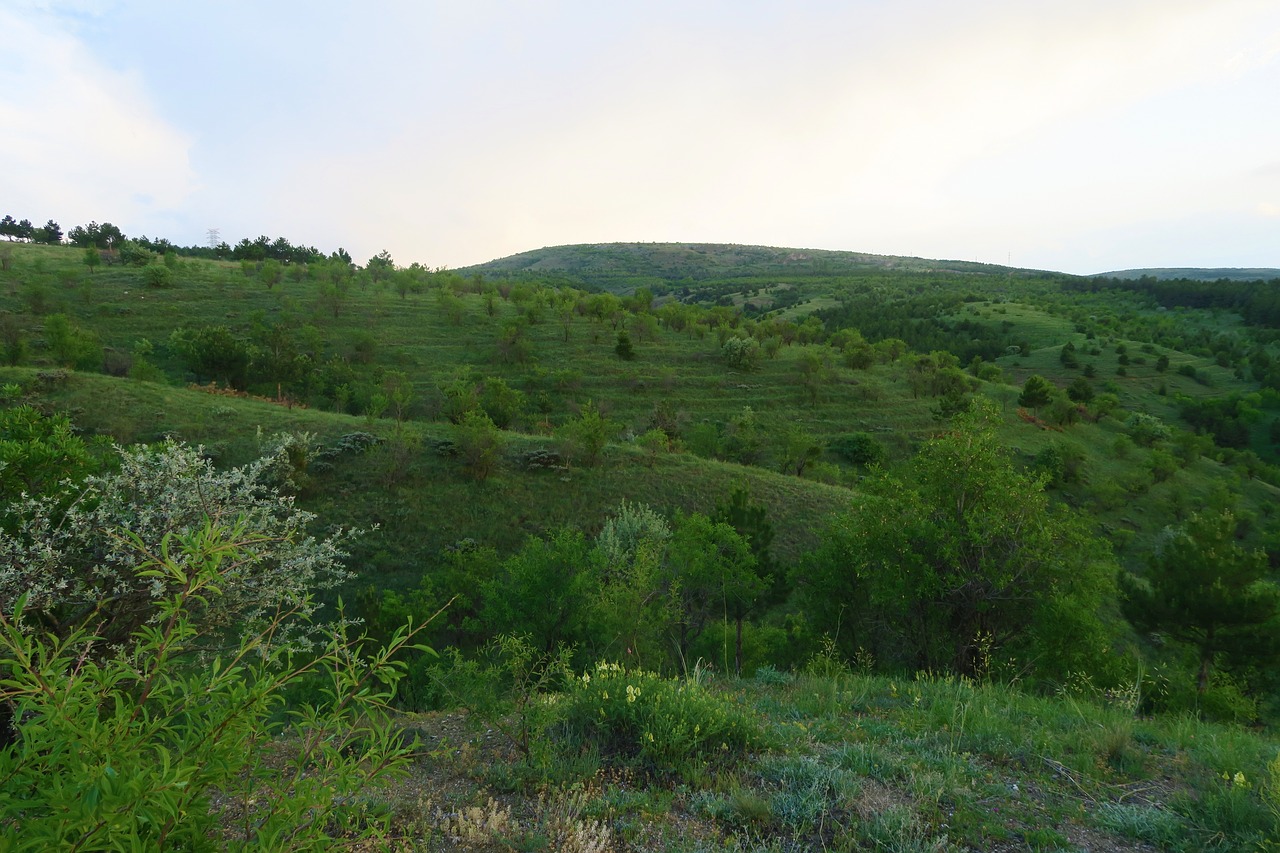 nature  land  flower free photo