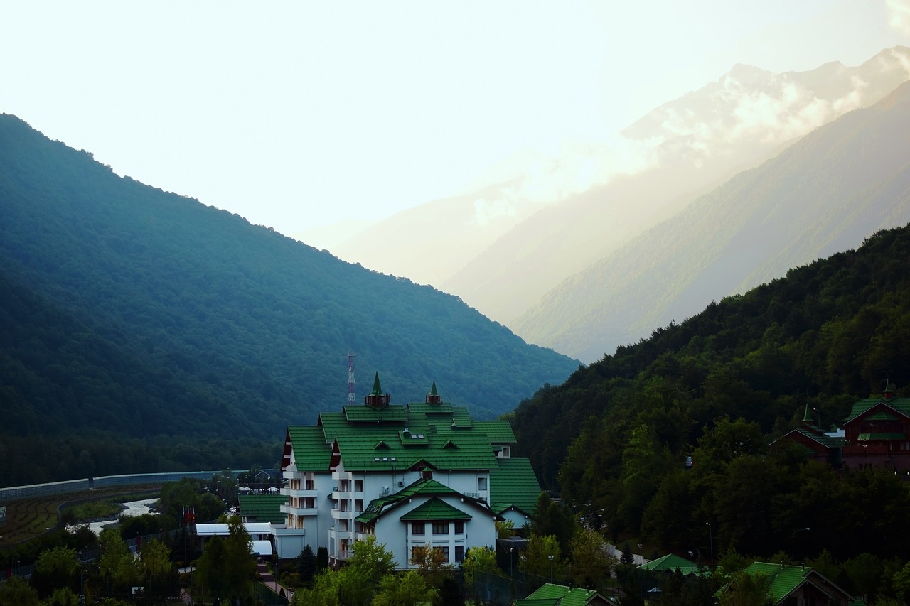 nature  mountains  forest free photo