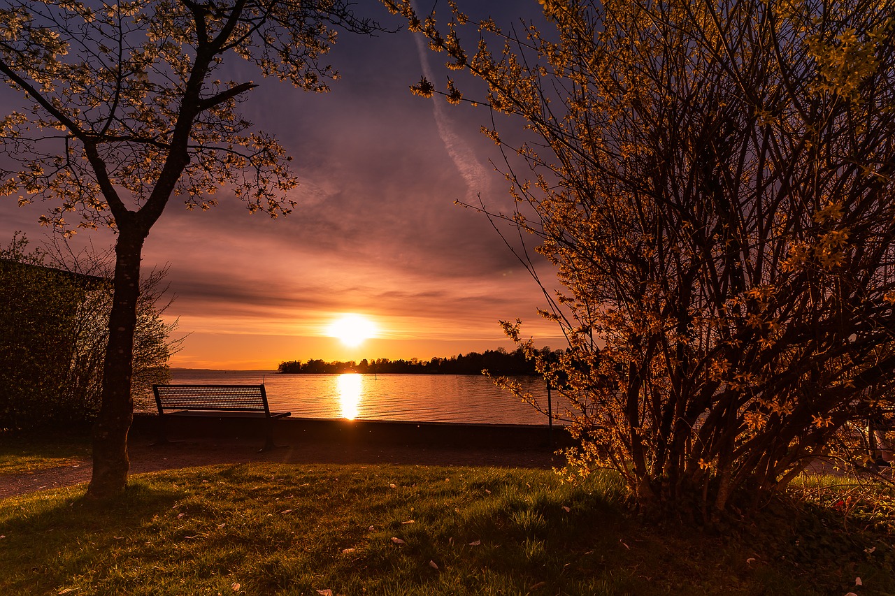 nature  landscape  sunset free photo