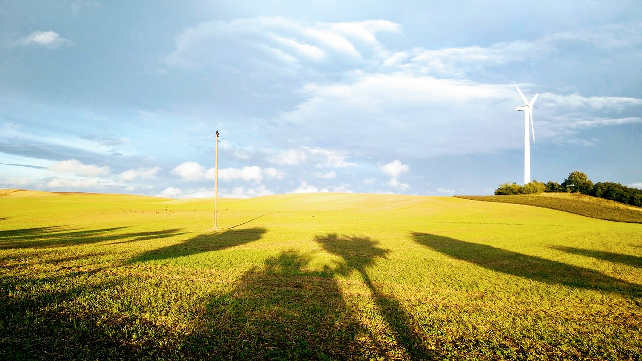 nature  field  agriculture free photo