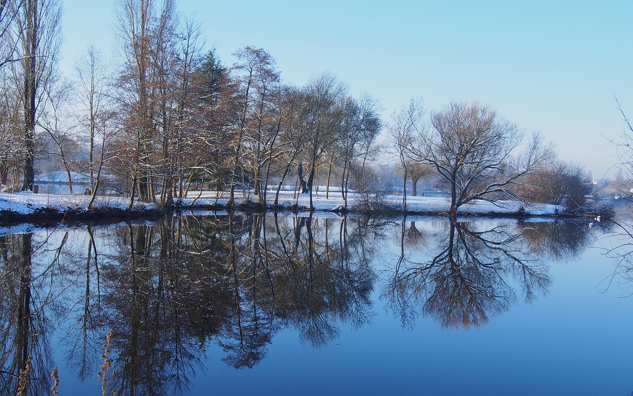 nature  trees  lake free photo