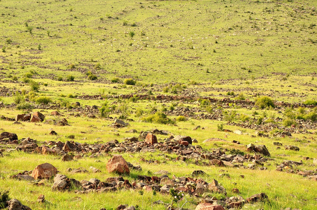 nature  landscape  plateau free photo