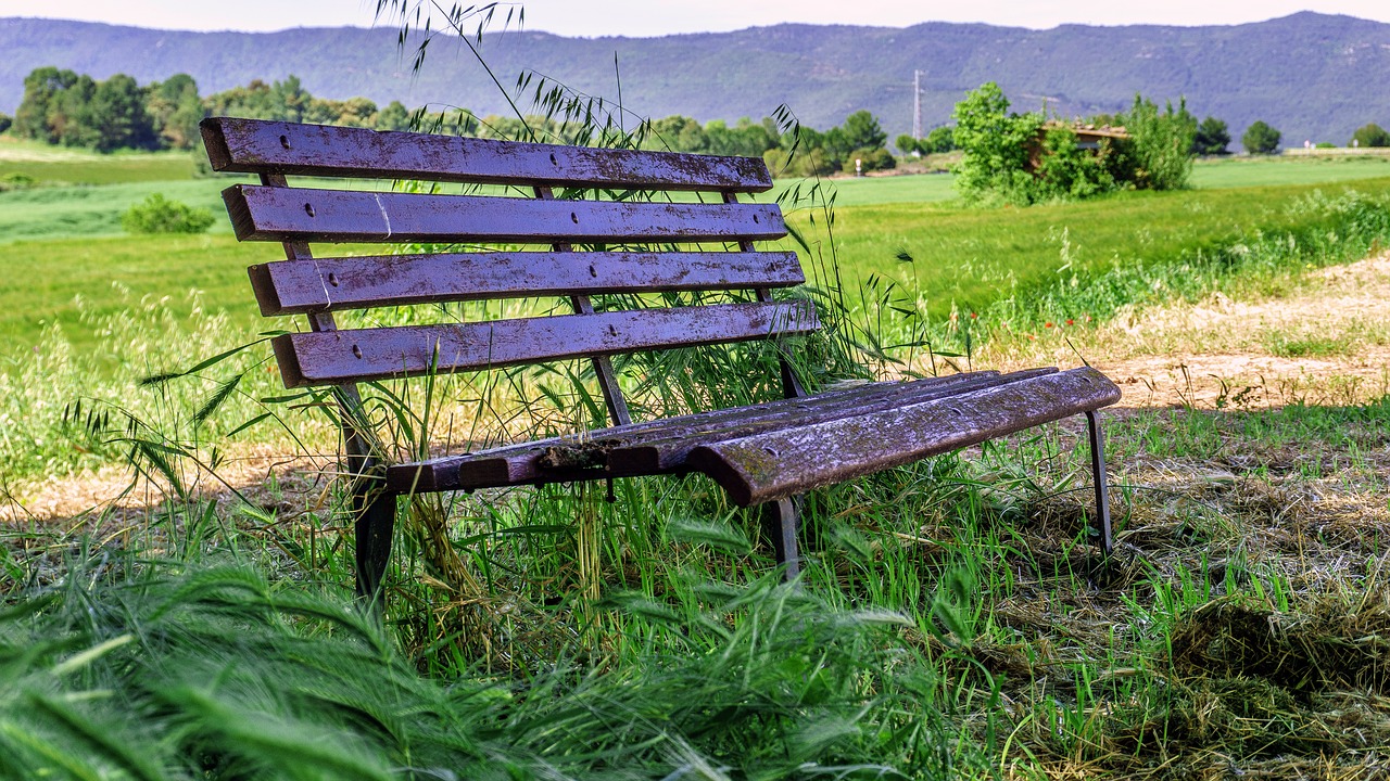 nature  landscapes  bank free photo