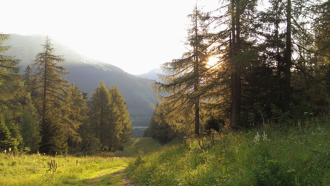 nature austria styria free photo