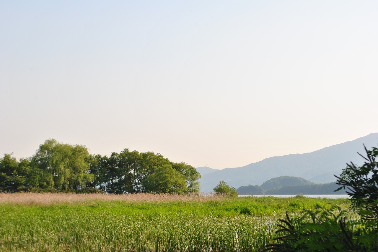 nature  landscape  lake free photo