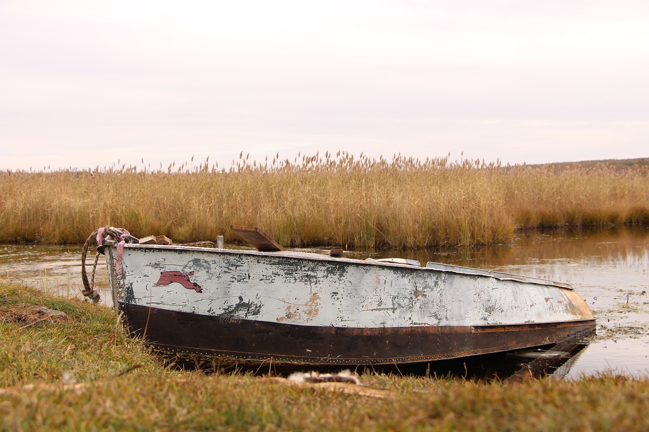 nature  boat  river free photo