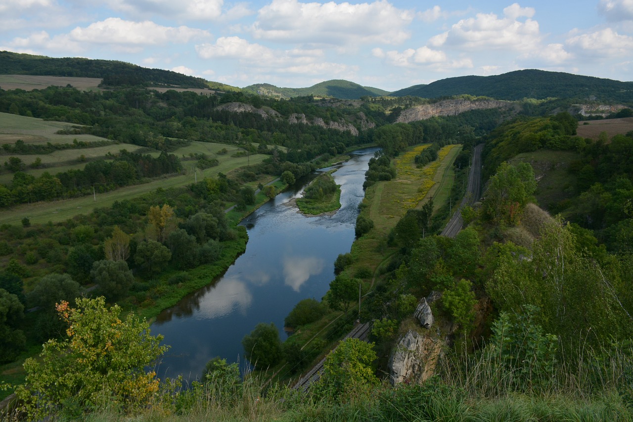 nature  river  summer free photo