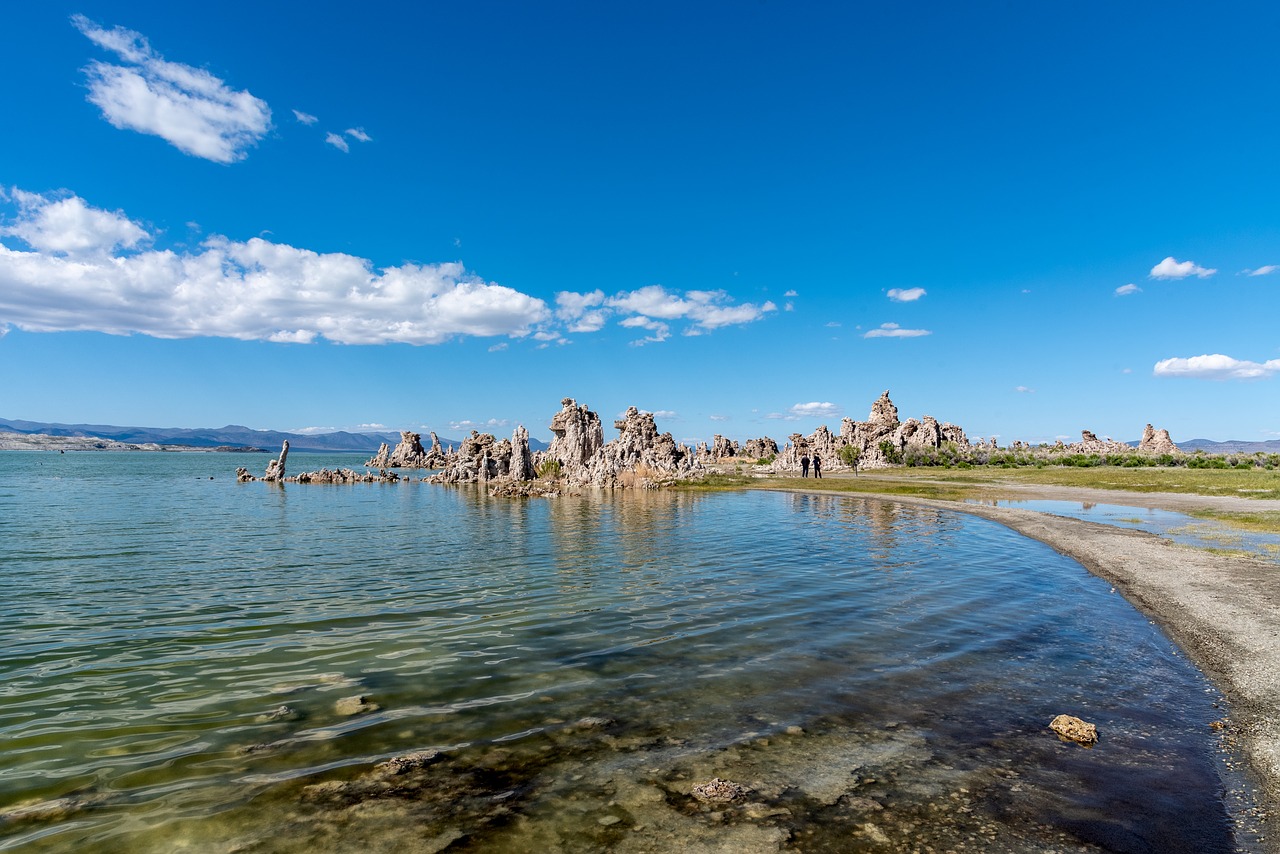 nature  mono lake  mono free photo